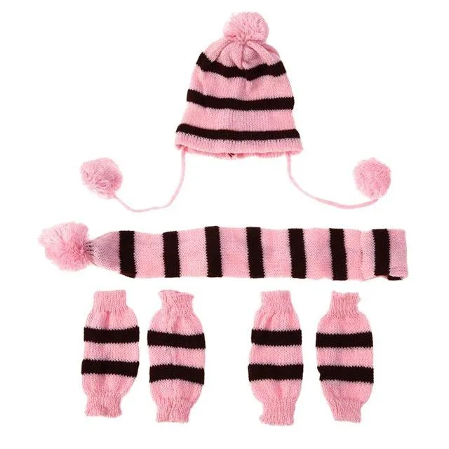 Knitted Winter Dog Warm Set