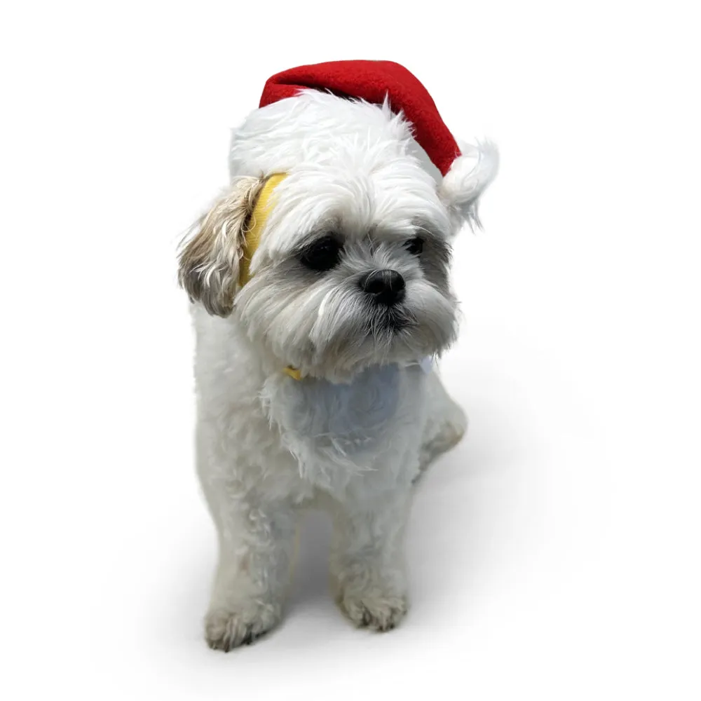 Santa Hat