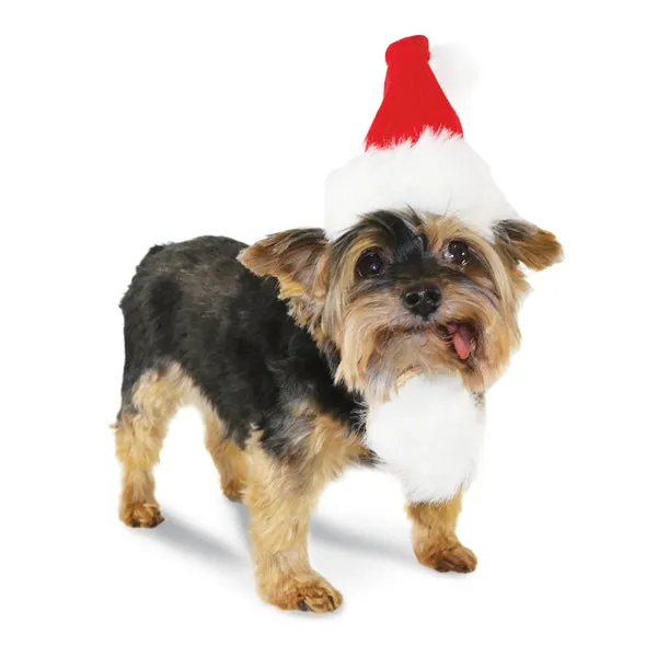 Santa Hat